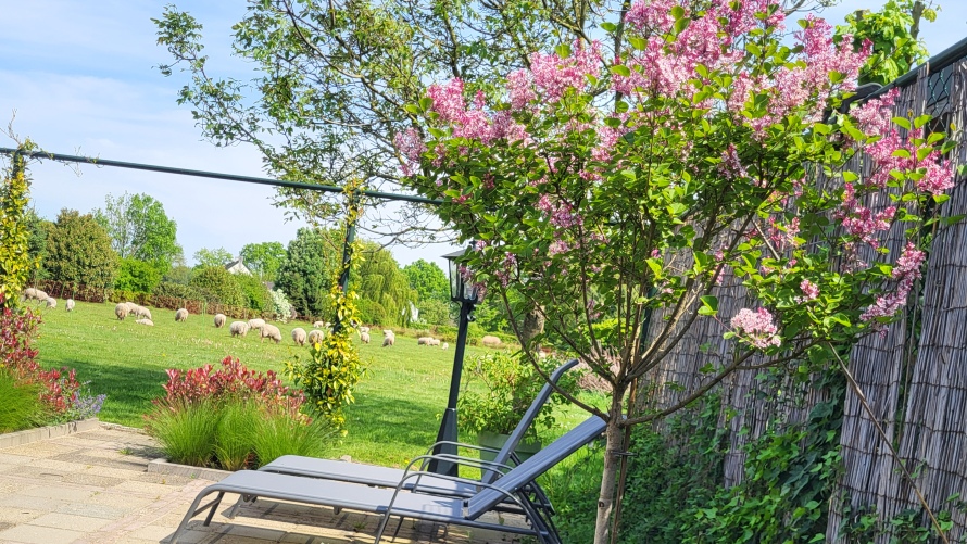 la-bienvenue-appartement-terras7